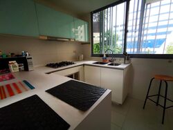 Oasis Garden (D19), Condominium #524965161